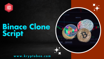 Top Binance clone script | Kryptobees