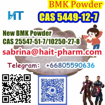 Whatsapp 8613363711581New BMK Powder CAS 25547-51-7 or 10250-27-8   (53)