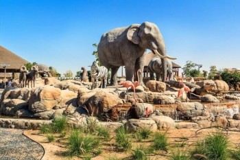 Dubai Safari Park Tickets