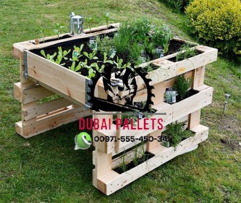 wooden pallets 0555450341 Dubai (1375)