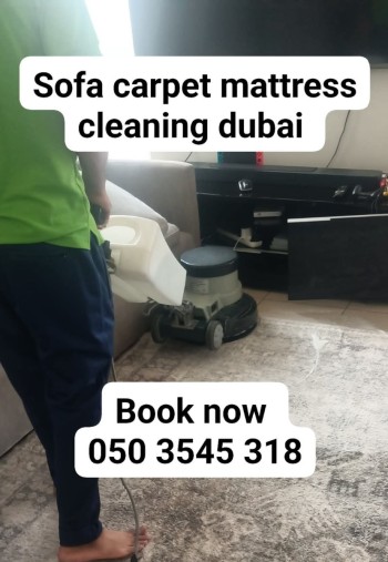 FB_IMG_1741591405726