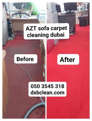 FB_IMG_1741591478565