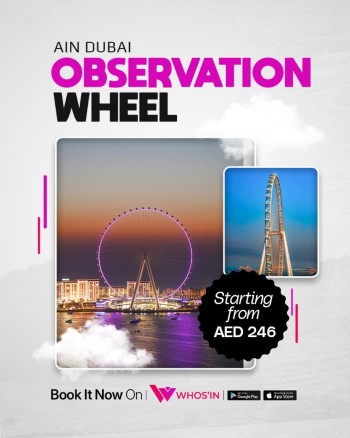 WhatsApp Image 2025-06-02 at 16.11.43