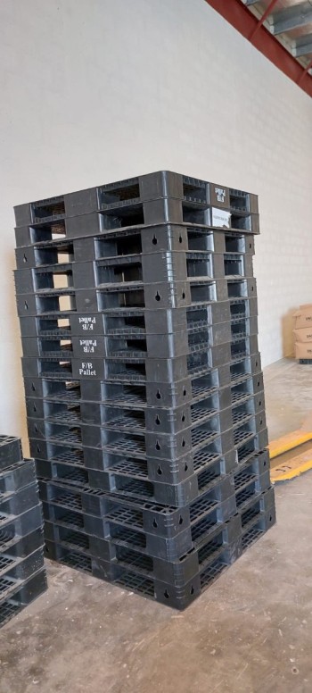 0555450341 pallets plastic sale