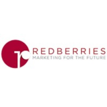 Digital Marketing Company in Dubai, UAE | RedBerries