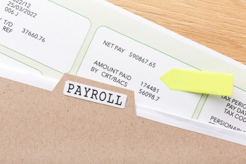 Payroll Outsourcing in India: Choosing the Right Provider for Your Business