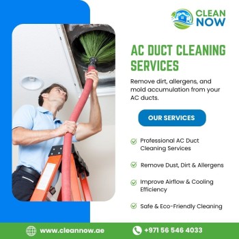 Breathe Cleaner, Healthier Air with Clean Now