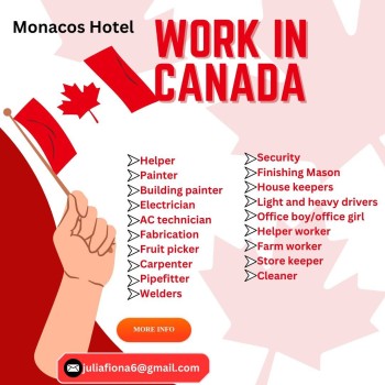 BREAKING: Move to Canada today!