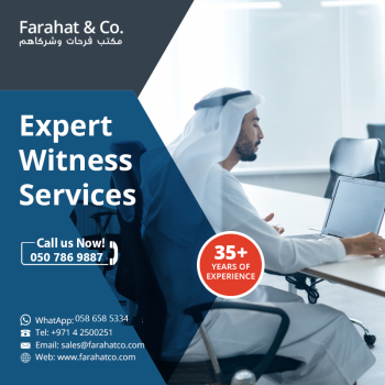 Expert Witness Services
