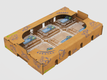 fresh berry carton box