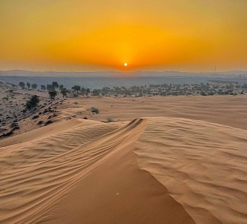 Which is the best Desert Safari Deals & Offer in Abu Dhabi 