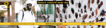 Best Mosquito Control Company Near Me – Bite-Free Life