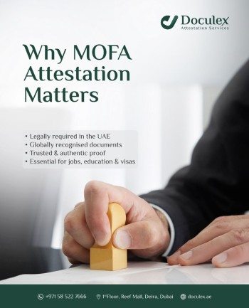 WhatsApp Image 2025-12-17 at 10.26.12 AM