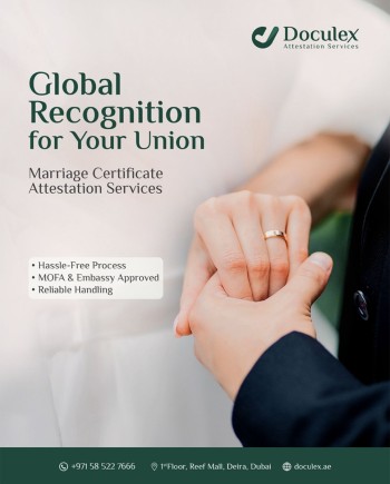 WhatsApp Image 2025-12-17 at 5.26.34 PM