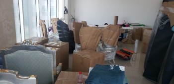 Force Movers And Packers (18)