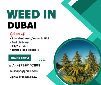 SIGNAL-talasapo.11, TELEGRAM-talasapo, W.A+971551403898 | Buy Hash In Dubai Abudhabi Sharjah Uae 
