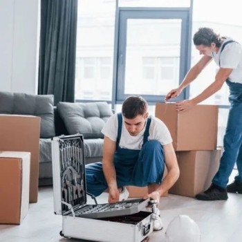 Best Movers in Abu Dhabi | Professional Movers & Packers