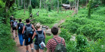 7 Rare Animals You Might Spot In Khao Sok