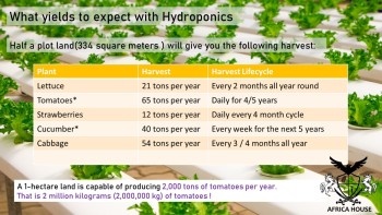 HYDROPONICS TRAINING: Learn how to Grow Food Without Soil (anywhere, even Indoors)