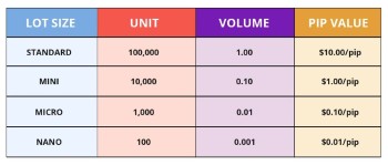 What Is a Lot in Forex? Beginner Guide to Position Sizing