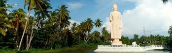 7-Nights-Sri-Lanka-Tour-Package