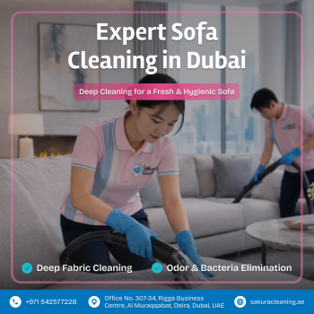 sofa cleaning