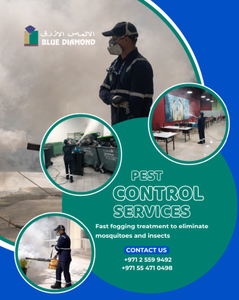 Pest Control Fogging