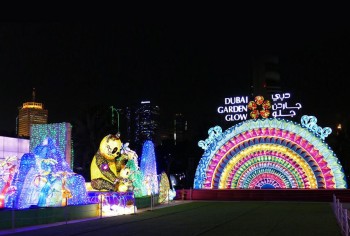 Discover Dubai Garden Glow by Night Experience