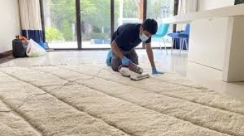 Struggling With Dirty Carpets in Dubai? Should You Call VIP Cleaning for Shampooing?