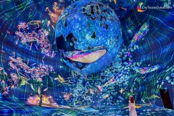 teamlab-phenomena-abu-dhabi-inside-interactive-experience
