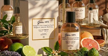 Amazing Creation Perfumes | Best Perfume Brand in UAE