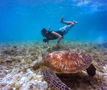 oman-khasab-scuba-diving