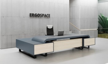 Color L Shape CEO Executive Desk With Double Side Cabinet