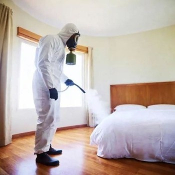 bed-bugs-treatment Bed Bugs Control