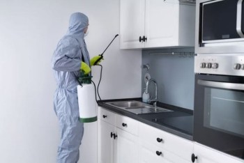 pest-fumigation Pest Fumigation