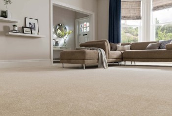 Where to Buy Wall to Wall Carpets: The Ultimate Guide to Stores & Suppliers