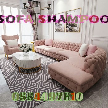 Professional Rug Chair Carpet Sofa Upholstery