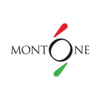 logo Best Food Ingredient Distributor - Montone