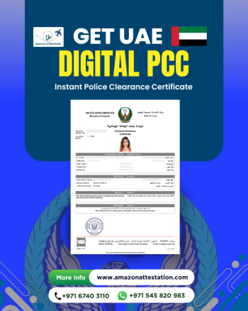 PCC-2 - Ajman DIGITAL PCC & MOFA ATTESTATION IN THE UAE