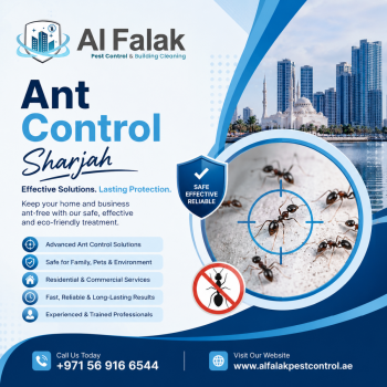 Ant Control Sharjah هل تبحث عن مكافحة فعّالة للنمل في الشارقة؟ يمكن لـ Al Falak مساعدتك