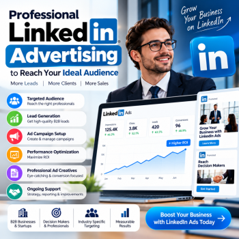 Professional LinkedIn Advertising Campaign Professional LinkedIn Advertising to Reach Your Ideal Audience