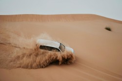 Desert Safari - avatar